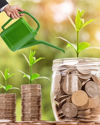 Image of a piggy bank or growing plant